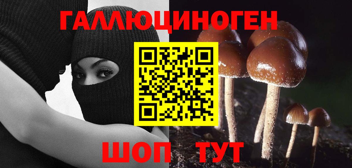 Псилоцибиновые грибы Psilocybe  Вход с VPN  Нововоронеж 