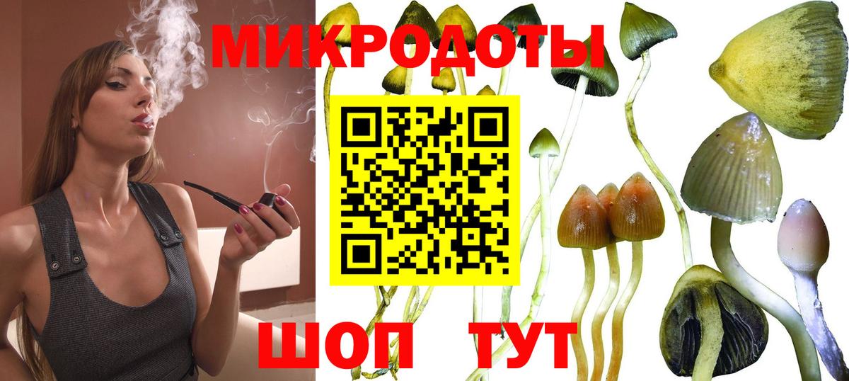 Галлюциногенные грибы Psilocybine cubensis Нововоронеж